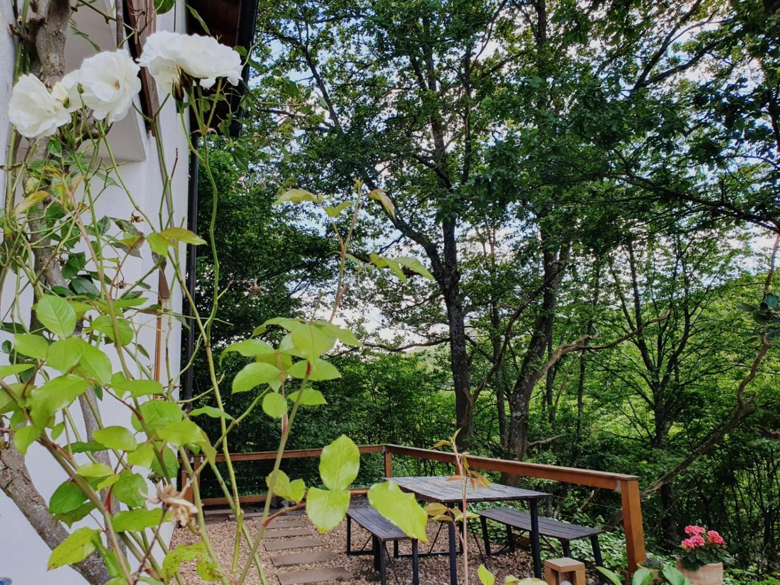 Ferienwohnung Lug 외부 사진